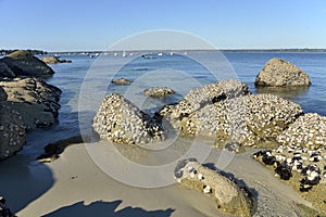 Beach of Beg Meil in France