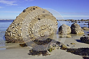 Beach of Beg Meil in France