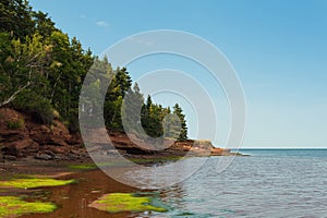 Beach at Belmont Provincial Park