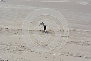 Beach in Bergen ann Zee, Netherlands, Noordholland