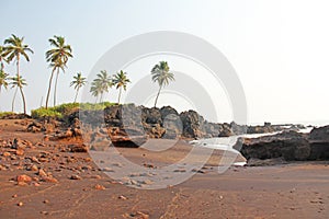 Beach with black sand and palm trees. Dark brown volcanic sand a