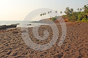 Beach with black sand and palm trees. Dark brown volcanic sand a