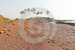 Beach with black sand and palm trees. Dark brown volcanic sand a