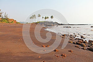 Beach with black sand and palm trees. Dark brown volcanic sand a