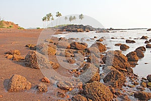 Beach with black sand and palm trees. Dark brown volcanic sand a