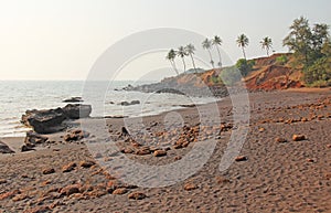 Beach with black sand and palm trees. Dark brown volcanic sand a