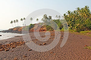 Beach with black sand and palm trees. Dark brown volcanic sand a