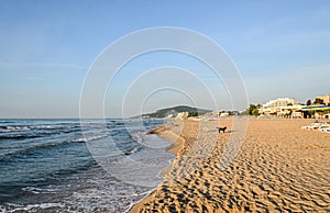 Beach of Black Sea from Albena, Bulgaria with golden sands, blue