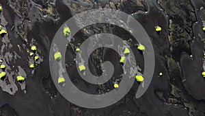 Beach with black volcanic sand in Iceland, Epic aerial view, Green grass grow in black sand, Unearthly landscape, Ocean