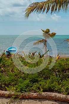 Beach with boat and palm trees in the biosphere of Sian Ka`an