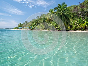 Beach in bocas del toro photo