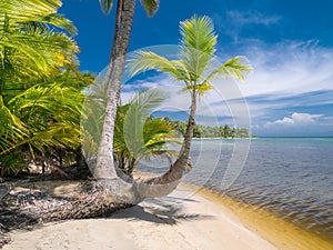 Beach in bocas del toro photo