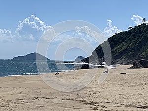 Beach in Brasil