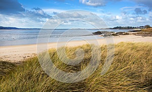 Beach in Britanny, France photo