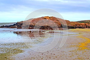 Beach in Brittany