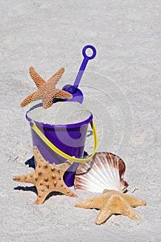 Beach Bucket with Starfish and Sea Shell