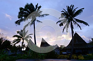 Beach Bungalows on Polynesian tropical Island