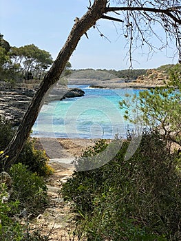 Beach Burgit in Mondrago Nature Park, Mallorca, Santanyi, Spain