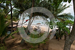Beach cafe among palm trees. Summer holiday concept
