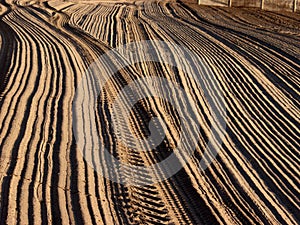 Beach of Calvi