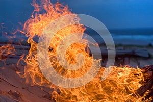 Beach campfire