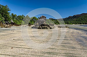 Beach in the Cape Hillsborough National Park.