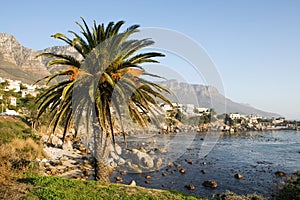 Beach in Cape Town