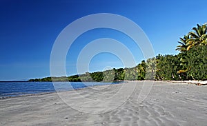 Beach at Cape Tribulation