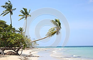 Beach in the Caribbean