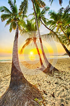 Beach in Caribbean at sunset