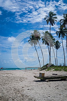 Beach of Carneiros, Tamandarï¿½-Pernambuco