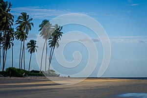 Beach of Carneiros, Tamandarï¿½-Pernambuco