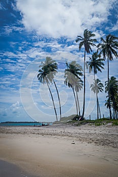 Beach of Carneiros, Tamandarï¿½-Pernambuco