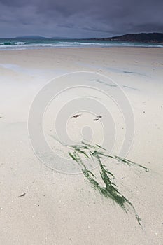 Beach of Carnota photo