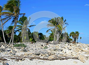 Beach in the Carribeans