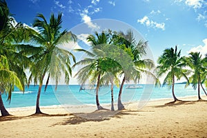 Beach of Catalina island in Dominican republic