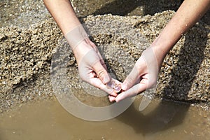 Beach caught small shell