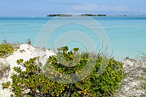 Beach of Cayo Guillermo, Cuba