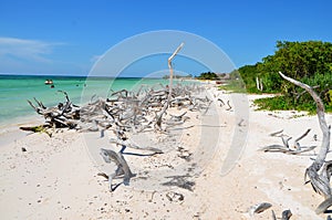 Beach at Cayo JutÃÂ­as photo