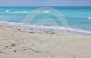 The beach of Cayo Santa Maria, Cuba