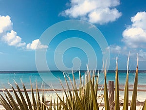 Beach, cean, blue sky and palm tree leaves - summer vacation con photo