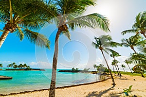 Beach chair in Bas du Fort beach in Guadeloupe