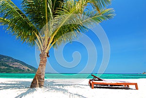 Beach chair nearby coconut tree on white sand, blue sky and turquoise sea