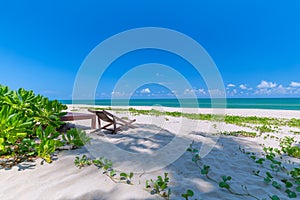 Beach chair and palm trees foreground on tropical beach, Paradise Island for holidays and relaxation