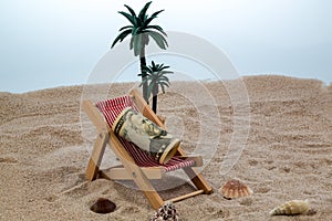 Beach chair with piggy bank and dollars