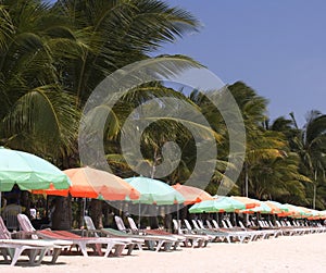 Beach chairs 2 photo
