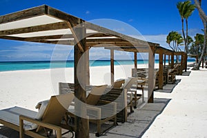 Beach chairs in Cap Cana, Punta Cana photo