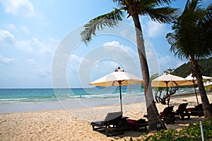 Beach chairs and coconut palm trees at Samed island.