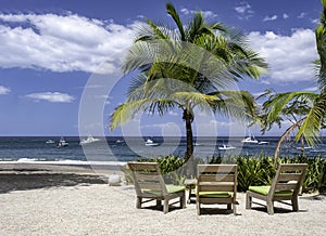 Beach chairs and palm tree on ocean beach with copy space