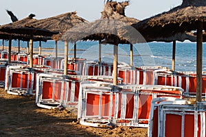 Beach chairs & parasols